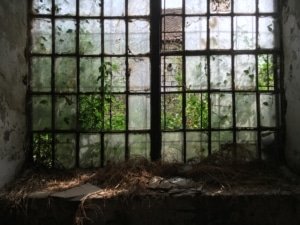 Топовске шупе