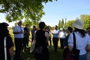 Group of people standing in a semicircle outdoors under a leafy tree on a sunny day, chatting in a park setting.