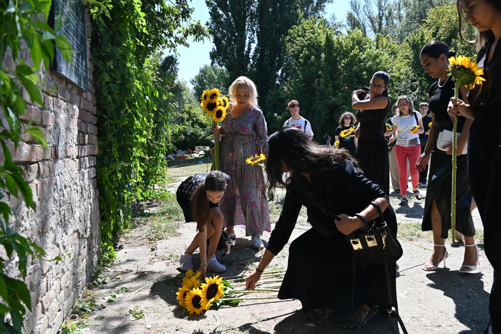 Group of people outdoors holding sunflowers, some bending to arrange flowers along a path by a brick wall and green foliage.