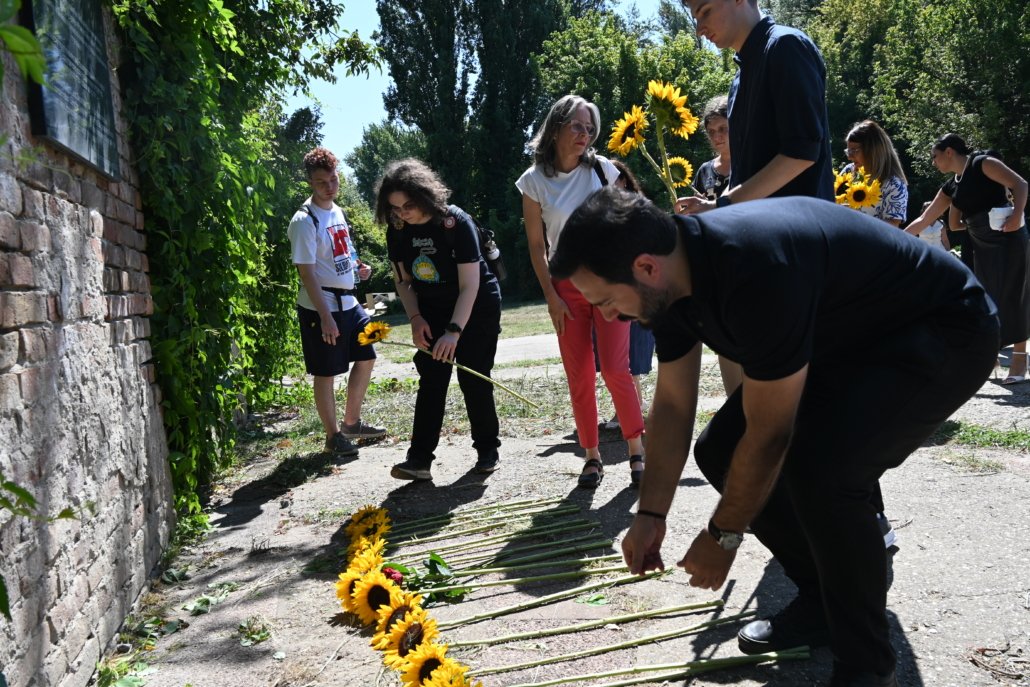 Group of people outdoors arranging sunflowers along a dirt path beside a brick wall.